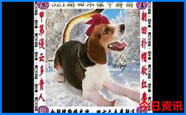 平顶山周边一日游最佳去处